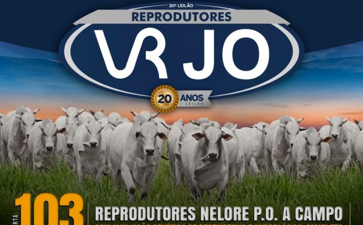 Leilão Reprodutores VRJO