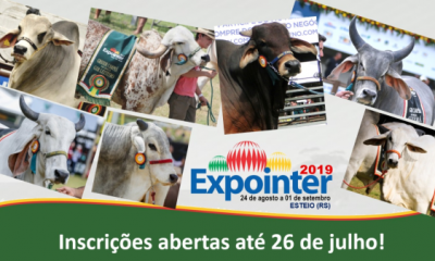 Expointer abre inscrições para zebuínos