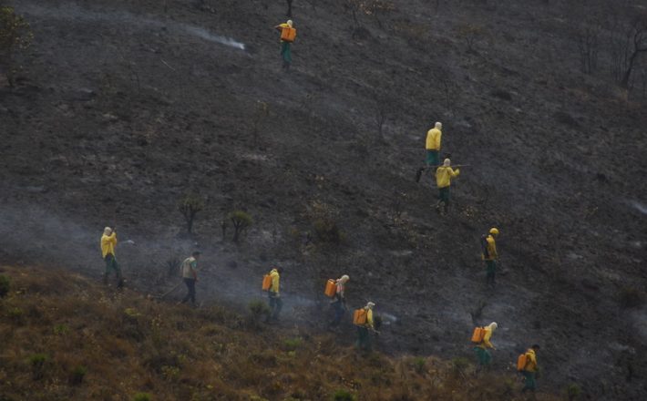 Minas Gerais refina trabalho de combate a incêndios florestais